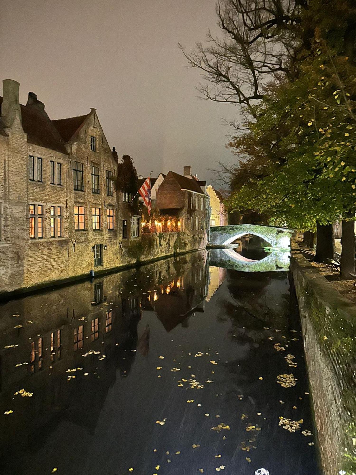 B&B Anna9 Bruges Extérieur photo